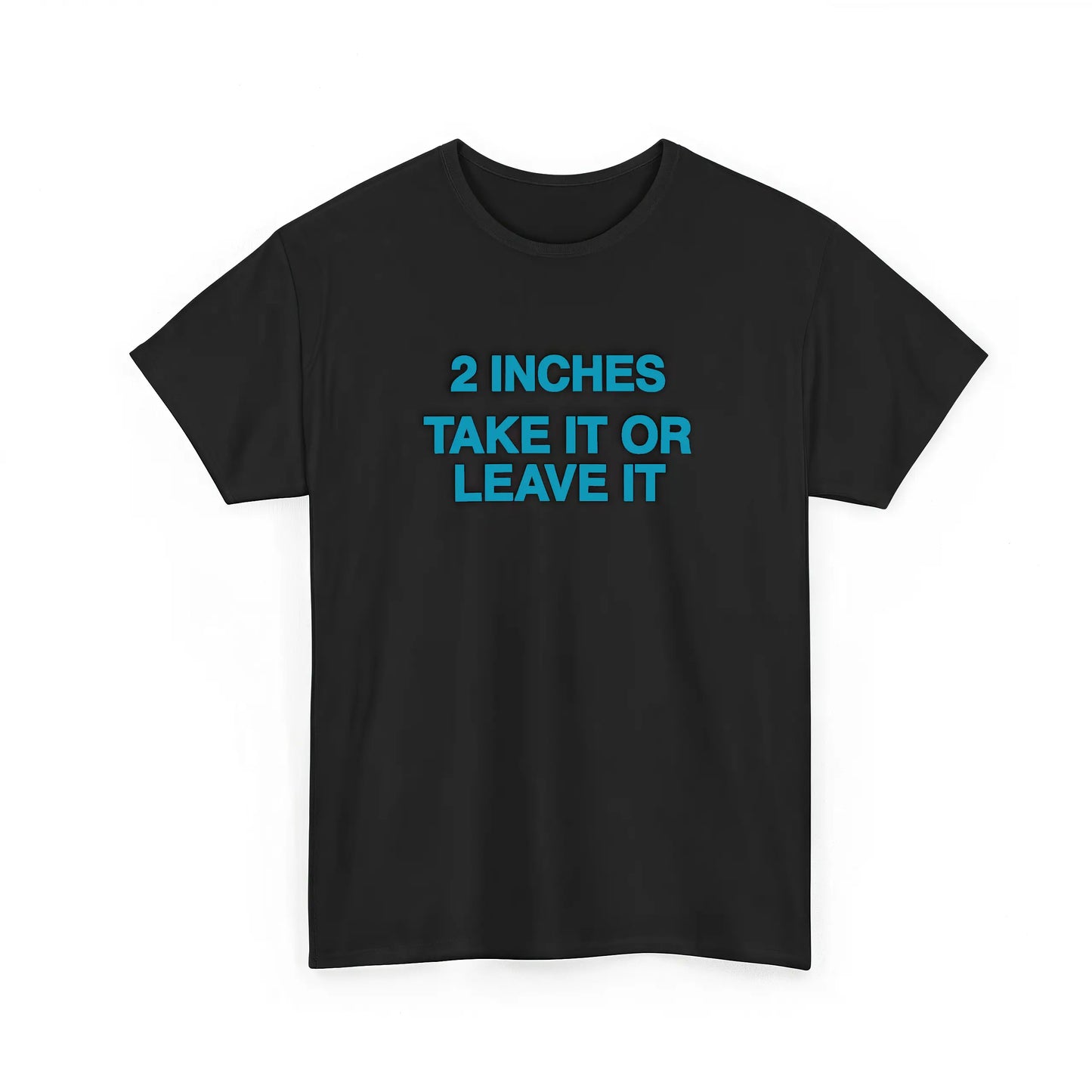 Funny Meme Shirt 2 Inches Take It Or Leave It T-Shirt Unhinged Crewneck Short Sleeve Cotton Joke Top for Small Wiener Person Menswear Day Shirt Print