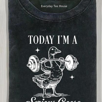 Men's Distressed 'Serious Goose' Funny Graphic Heavyweight Cotton Vintage Short-Sleeve Crew Neck Loose Fitted Casual Style Tee - Machine Washable Meme Streetwear Top, Back to School All Seasons Menswear